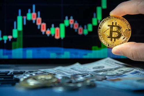 关于加密货币的央行,央行视角下的加密货币监管与发展趋势