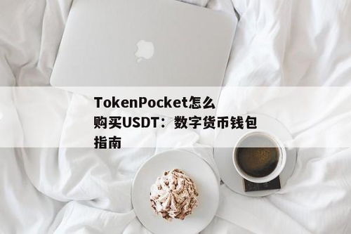 tokenpocket充币,轻松掌握资产入账技巧