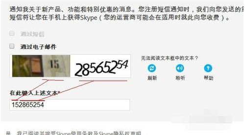skype姓名怎么填,探寻个性与社交的交织
