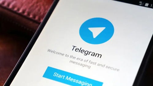 telegeram官网,探索即时通讯的无限可能
