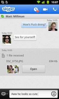 skype置顶,一键直达重要联系人