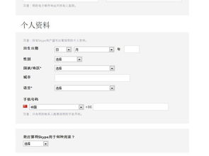 skype注册输入代码,畅享即时通讯新体验