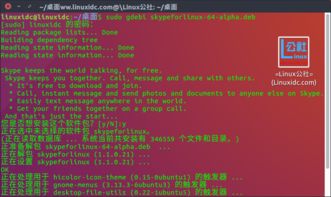ubuntu16 skype,Ubuntu 16系统下Skype安装与使用指南