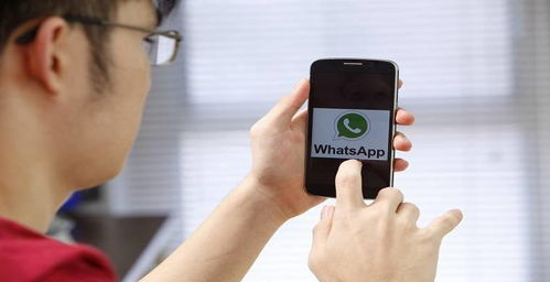 tk引流到whatsapp,打造无缝沟通新策略