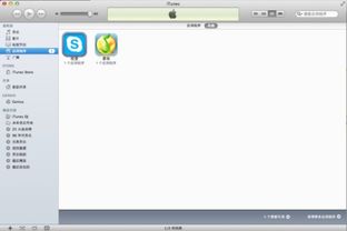 skype在苹果电脑的app,苹果电脑上Skype应用的使用指南与功能解析