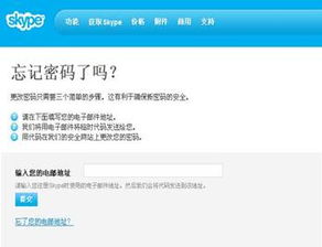 skype注册时密码是什么,揭秘注册时密码的生成与安全