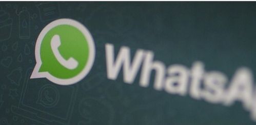 twitter和whatsapp的区别,社交平台功能与使用场景对比解析