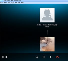 skype在国内打国外电话要钱吗,国内拨打国外电话需付费吗？