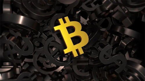 USDT的钱包是啥样的,数字货币交易的安全守护者