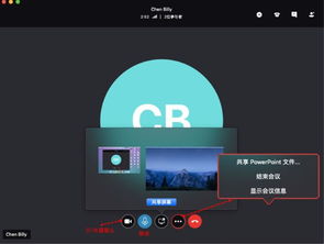 skype展示ppt,高效沟通与协作的视觉指南