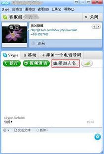 skype又叫什么,Skype的别称与传奇