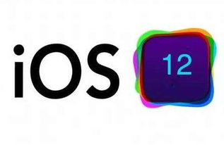 skype在ios12上闪退,iOS 12系统下Skype应用频繁闪退问题解析