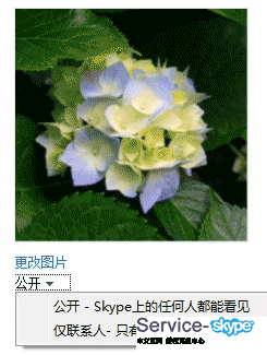 skype怎么设置个性签名,打造专属你的个人风格