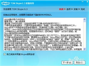 skype怎么一直隐身,不被打扰