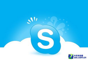 skype在线联系代码,Skype在线联系代码深度解析与应用实践