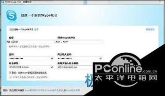 skype用户有多少钱,财富分布背后的秘密