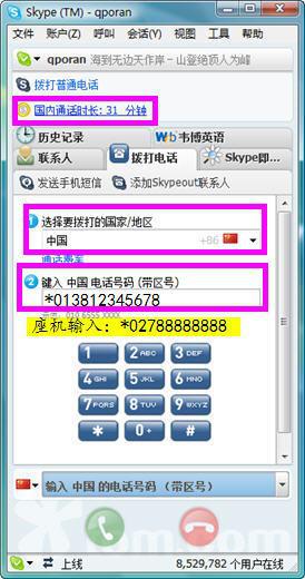 skype在大陆不可以用吗,中国大陆地区Skype使用现状解析