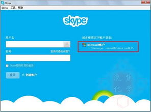 skype账户和密码,揭秘账户密码背后的无限可能
