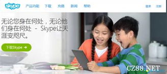 skype正常运行状态,畅享无障碍沟通体验