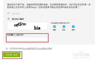 Skype一直显示隐身,持续隐身背后的秘密与挑战
