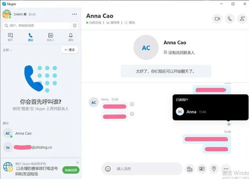 skype怎么看消息是否已读,Skype消息已读状态查看指南