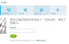 skype怎么设置显示号码,轻松掌握电话号码显示技巧