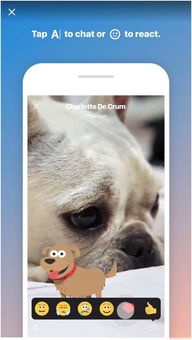skype有动态看吗,实时互动新体验
