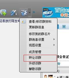 Skype怎样更换群主,轻松掌握群管理新技能