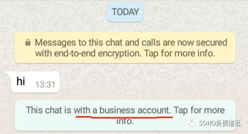 ss whatsapp lantern,揭秘高效跨境通信的秘密武器