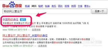 skype自己如何充值记录,揭秘我的通话之旅