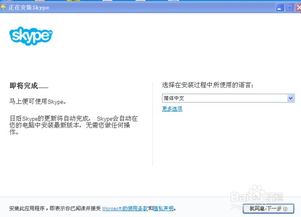 skype怎么使打英国,实用指南