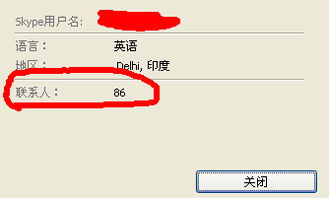 skype依靠什么意思,揭秘其核心依赖与成功之道